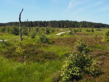 Signal de Botrange (België)